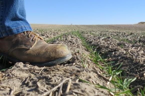 Uncertainty Ahead For Farmers Depending On Government Climate Research